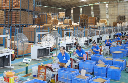 产能升级｜多基地协同布局，综合生产能力持续提升