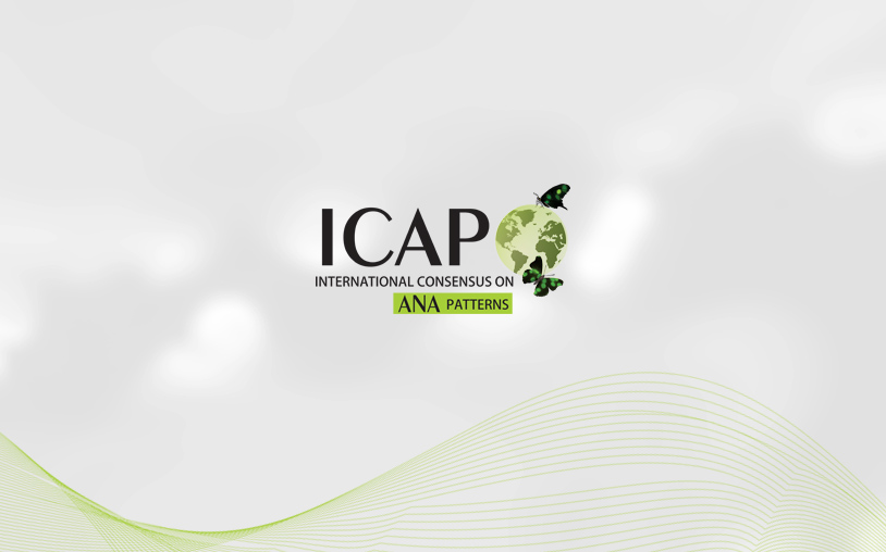 https://www.pady.com.cn/case/webdesign/262217.html